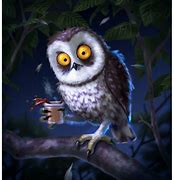 Image result for Night Owl Graphics