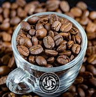 Image result for Arabica Coffee Beans Top View