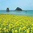 Image result for Island of Jeju