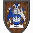 Image result for Wall Irish Family Crest