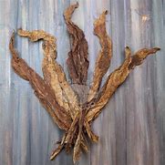 Image result for Real Leaf Tobacco