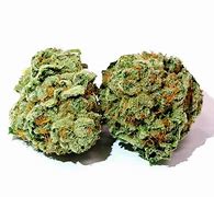 Image result for BC Kush Strain