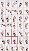 Image result for 2 Hands Gesture