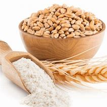 Image result for Wheat Flour