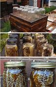 Image result for DIY Bee Hive