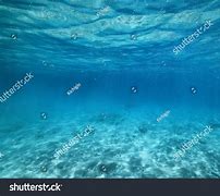 Image result for Ocean Floor Texture