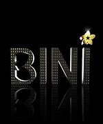 Image result for Bini Album