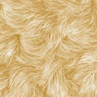 Image result for Yellow Fur Texture