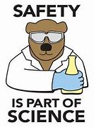 Image result for Lab Safety Pictures