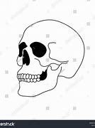 Image result for Side Profile Skull Drawring