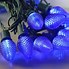 Image result for Blue LED Christmas Lights