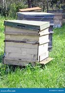 Image result for Homes for Bees