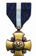 Image result for Navy Cross Medal Civilian