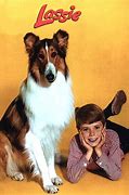 Image result for Lassie Show