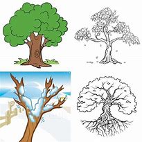 Image result for Best Tree Drawing