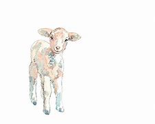 Image result for Baby Lamb Sketches