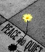 Image result for Lincoln Peace and Quiet