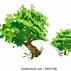 Image result for Family Tree with Leaves