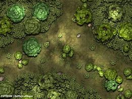 Image result for Nature Preserve Battle Maps