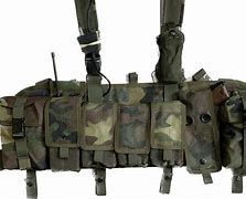 Image result for AWS M14 Chest Rig