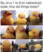 Image result for Meme Ducklok