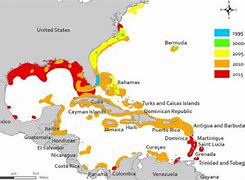 Image result for Lionfish Habitat