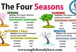 Image result for Zagu 4 Seasons