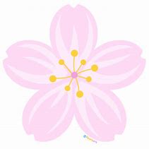 Image result for Cherry Blossom Single Flower Clip Art