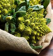 Image result for Kinds of Broccoli