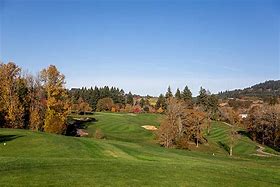 Image result for Chehalem Glenn Golf Course Logo