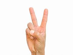 Image result for OK Hand Two Fingers