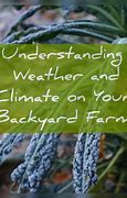 Image result for Backyard Homestead Design