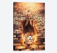 Image result for Cat Lion Reflection