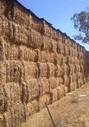 Image result for Pea Hay