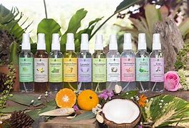 Image result for Comfort Room Deodorizer