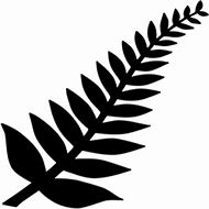 Image result for New Zealand Fern Clip Art