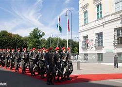 Image result for Austrian Army Guards