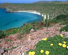 Image result for La Paz Baja