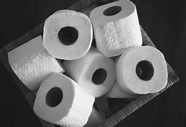 Image result for Free Toilet Paper