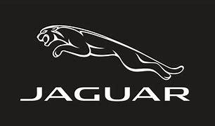 Image result for Jaguar Racing Logo