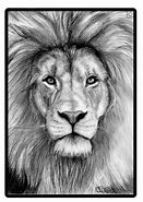 Image result for Simple Lion Drawing Pencil