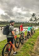 Image result for Cycling Ubud Bali