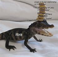 Image result for funny libra memes