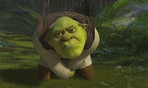 Image result for Shrek Cartoons