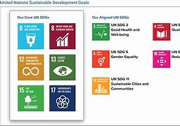 Image result for UN PRI ESG Goals