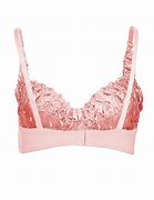 Image result for Baby Pink Bra