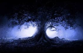 Image result for Black Tree with Hedgehog Wallpaper