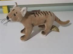 Image result for Thylacine Plush Toy