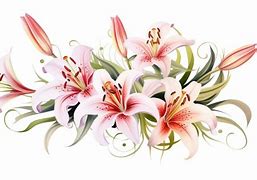 Image result for Lily Word Art