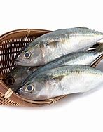 Image result for Frozen Mackerel